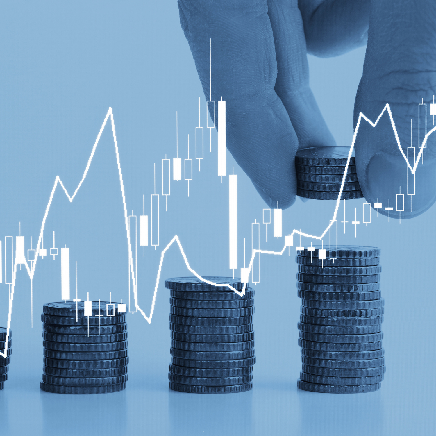 Investment Journey